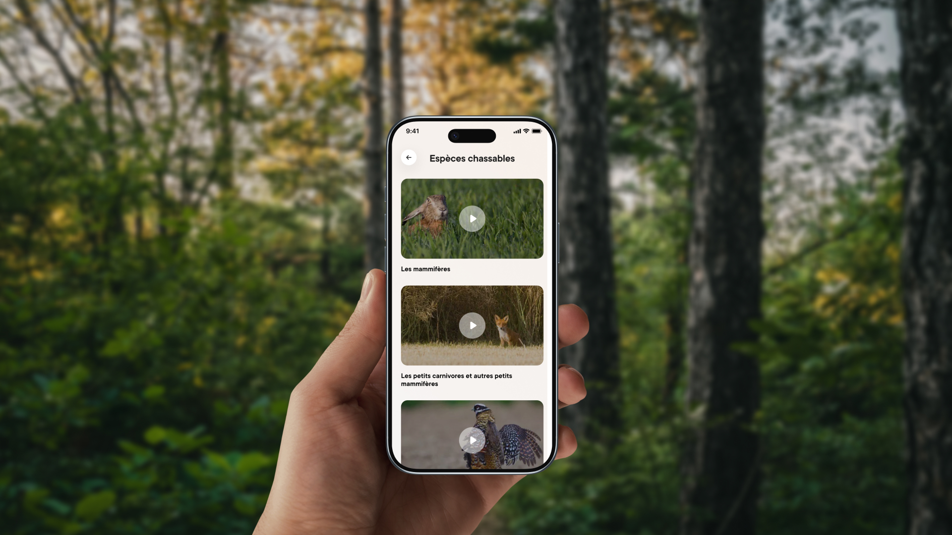 Visuel 01 - Contenu FNC