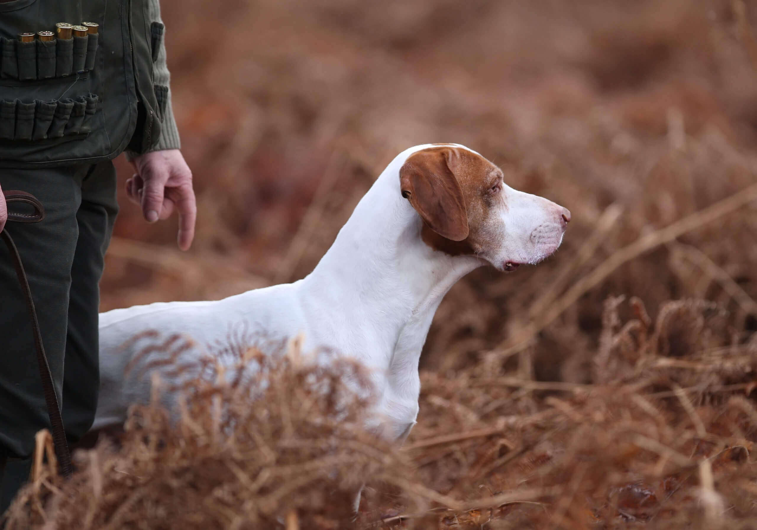 Visuel hero Fédération Nationale des Chasseurs - Usecase