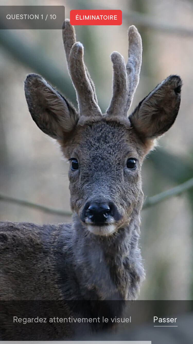 Écran mobile application Fédération Nationale des Chasseurs