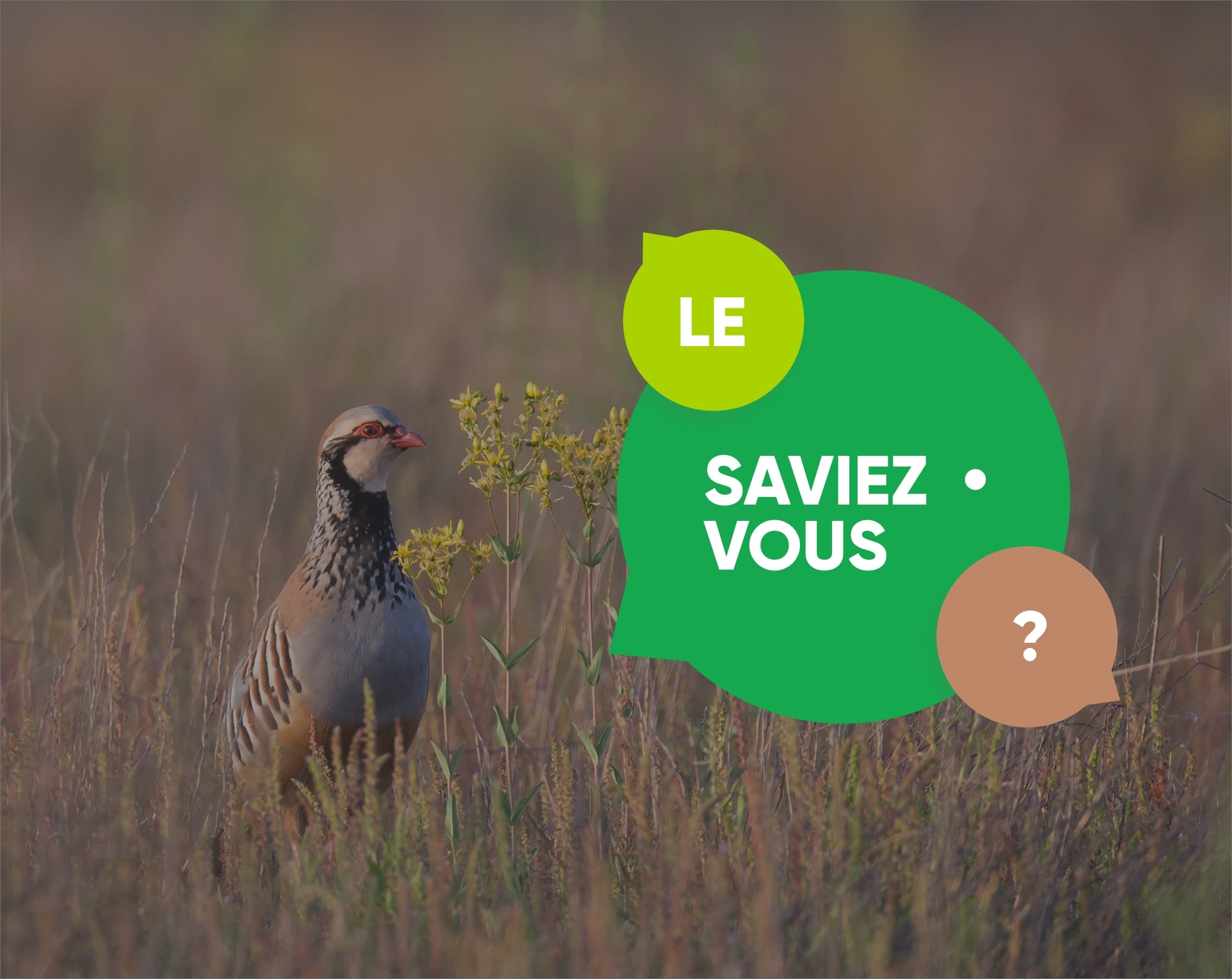 le saviez-vous chasse