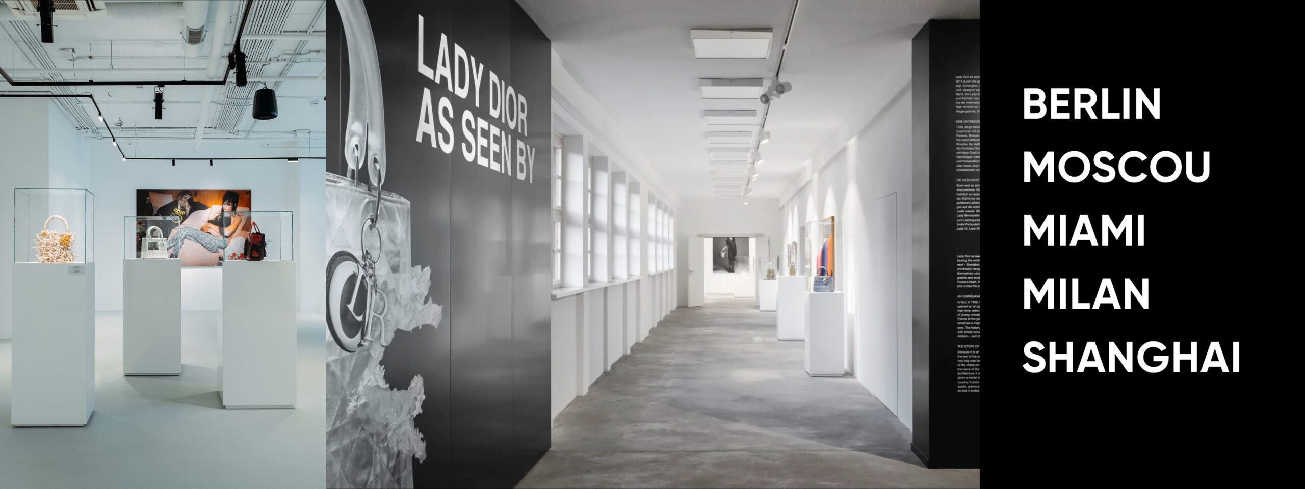 Scénographie de l'exposition