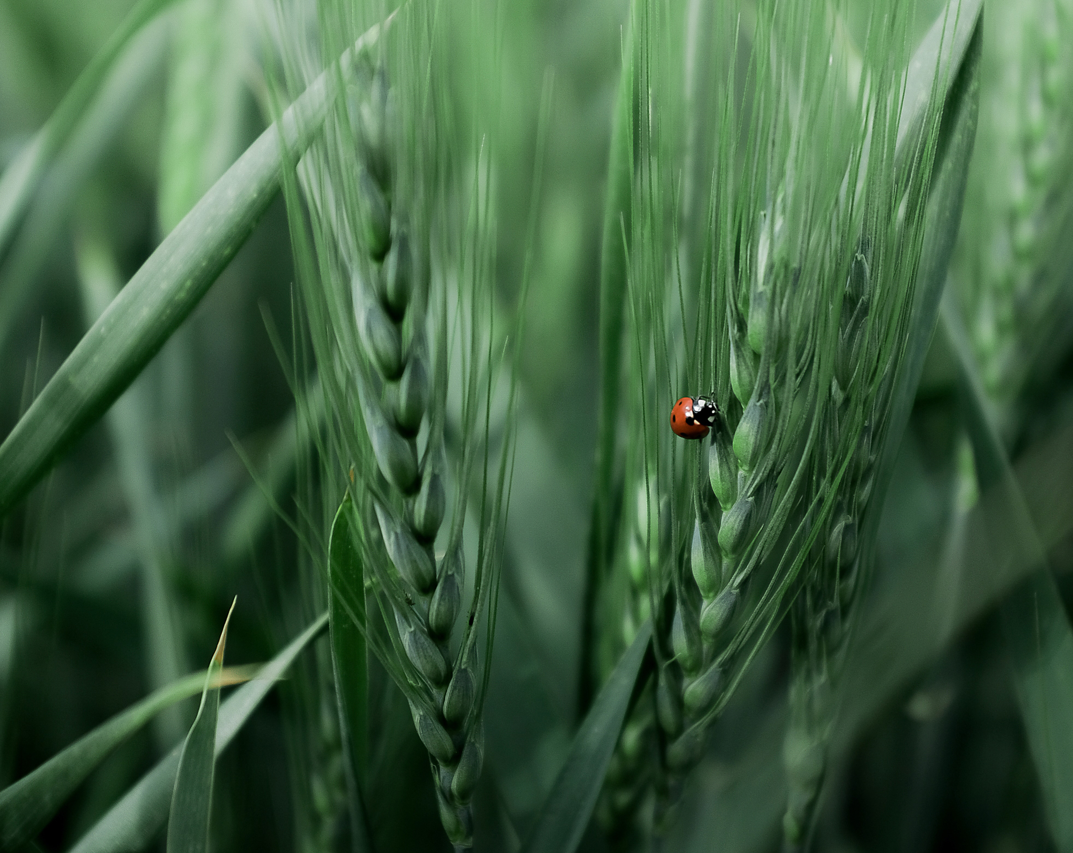 image de fond Bureau Veritas Sust'Enablers