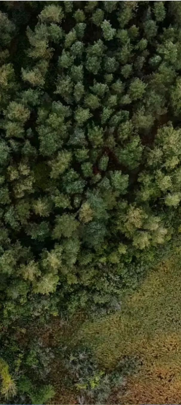 image de fond pour la Fondation pour la Préservation de la Nature